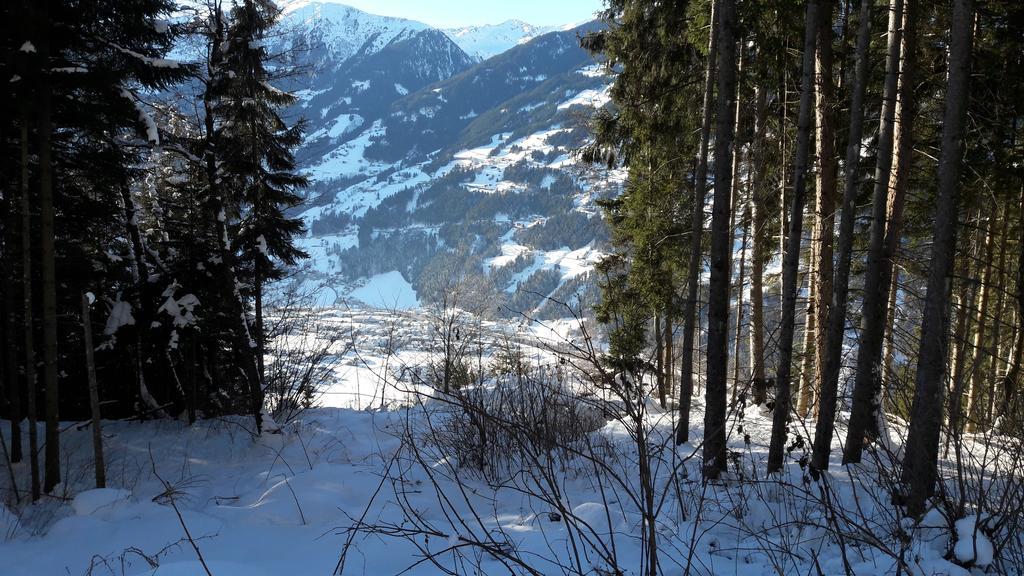 Floerl Apartment Zell am Ziller Ngoại thất bức ảnh